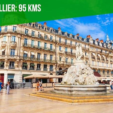 Apartamento La Bulle - Parking Gratuit En Souterrain - 2 Mins Du Palais Des Papes - Clim Ac - Wifi Aviñón Exterior foto